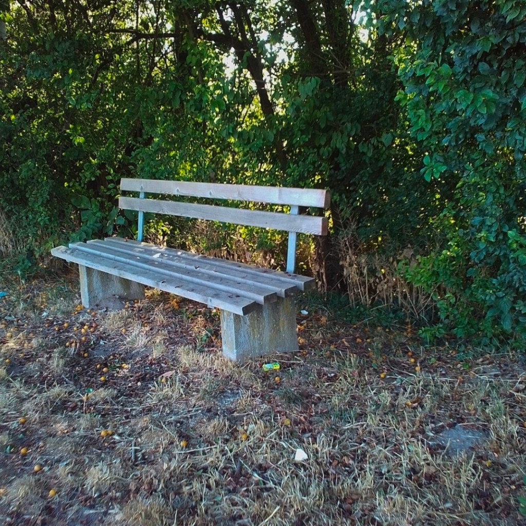 Fotoğrafçılık